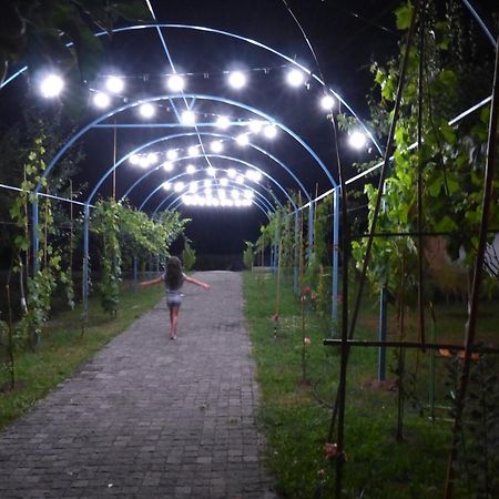 Villa "Zepuri" Dushet'i 외부 사진