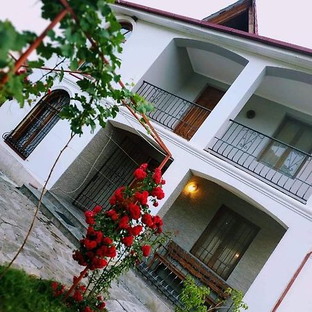 Villa "Zepuri" Dushet'i 외부 사진