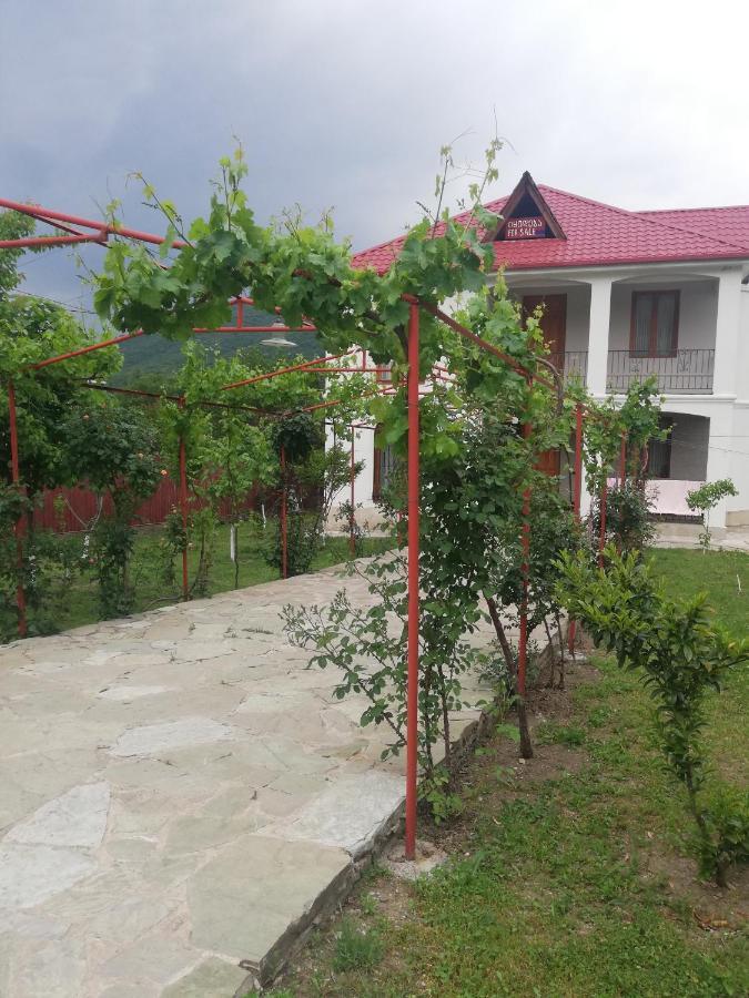 Villa "Zepuri" Dushet'i 외부 사진