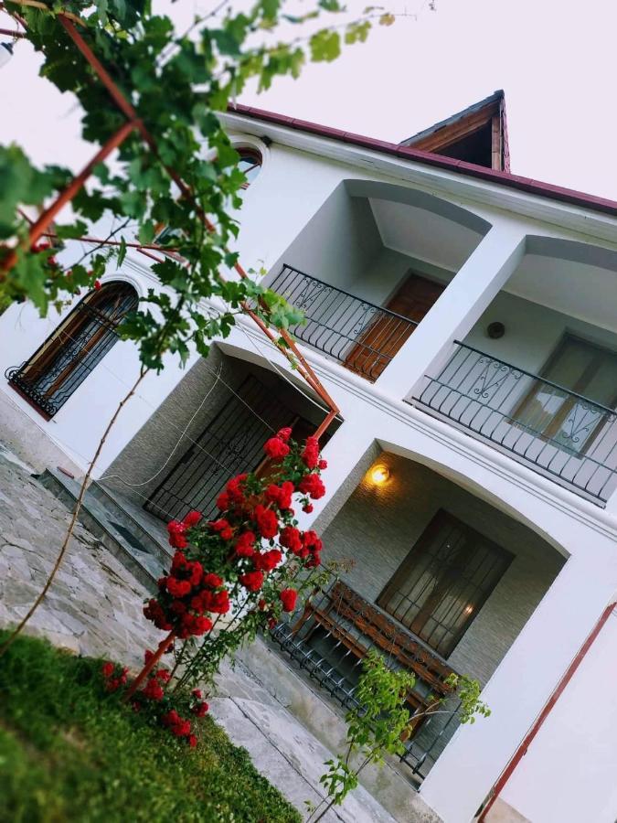 Villa "Zepuri" Dushet'i 외부 사진