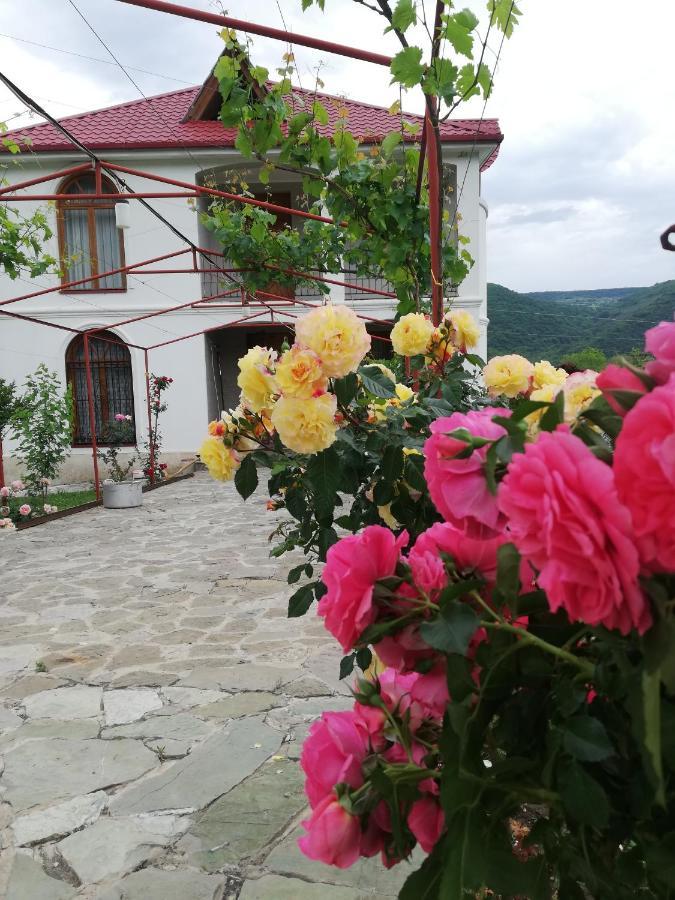 Villa "Zepuri" Dushet'i 외부 사진
