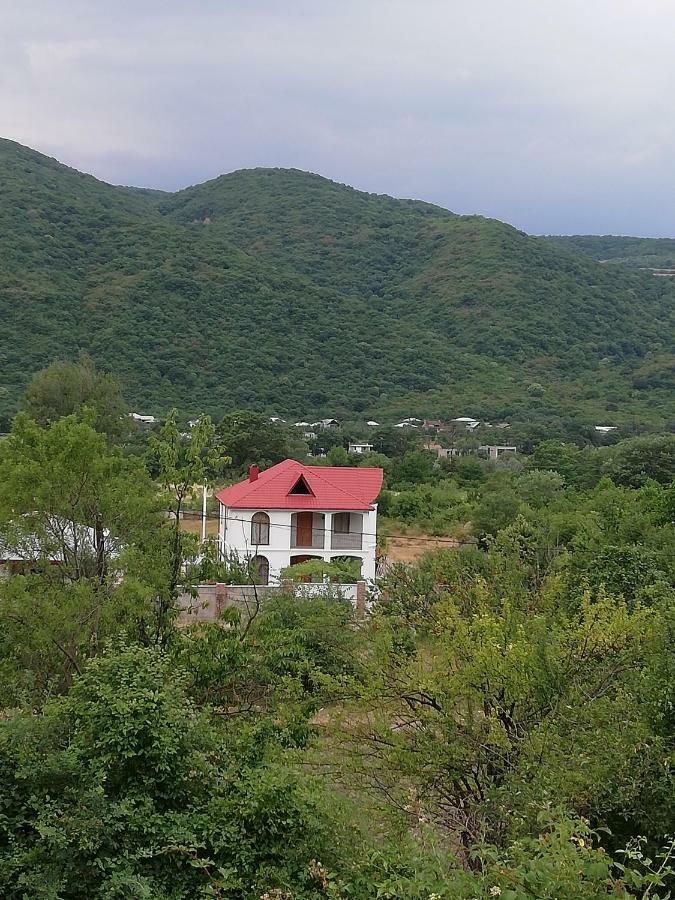 Villa "Zepuri" Dushet'i 외부 사진